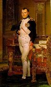 Jacques-Louis David Napoleon in His Study France oil painting reproduction